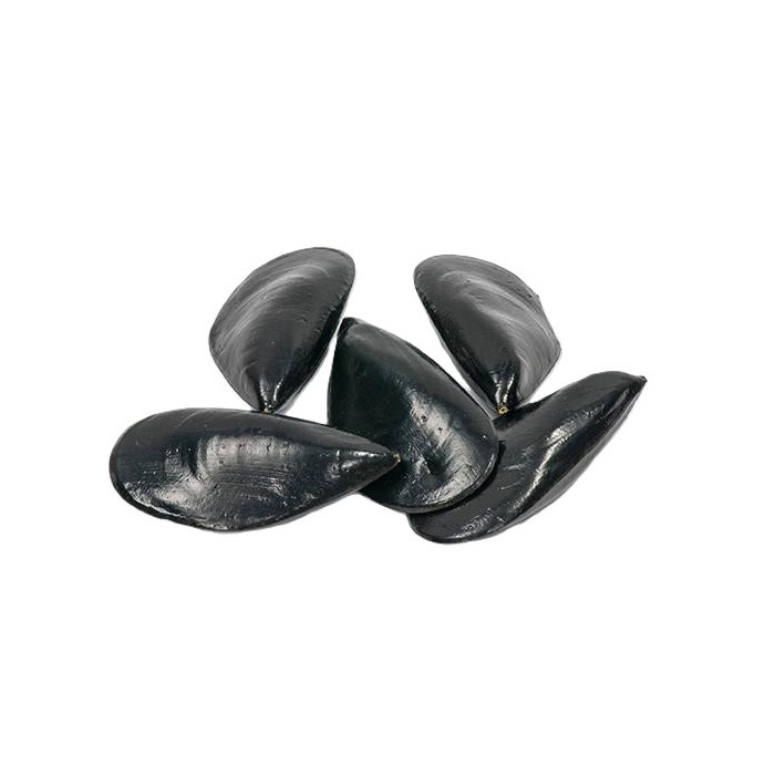 COZZE 10PZ BLACK